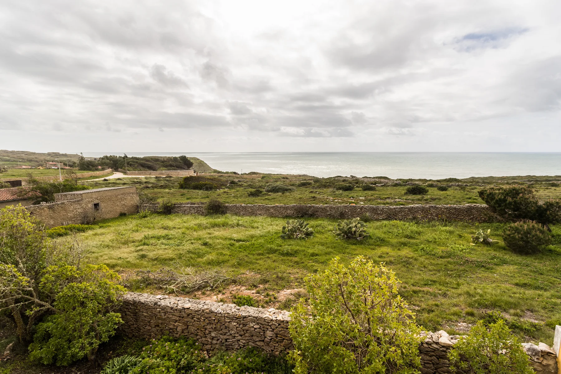 A grassy coastal landscape with low stone walls and the ocean in the distance.