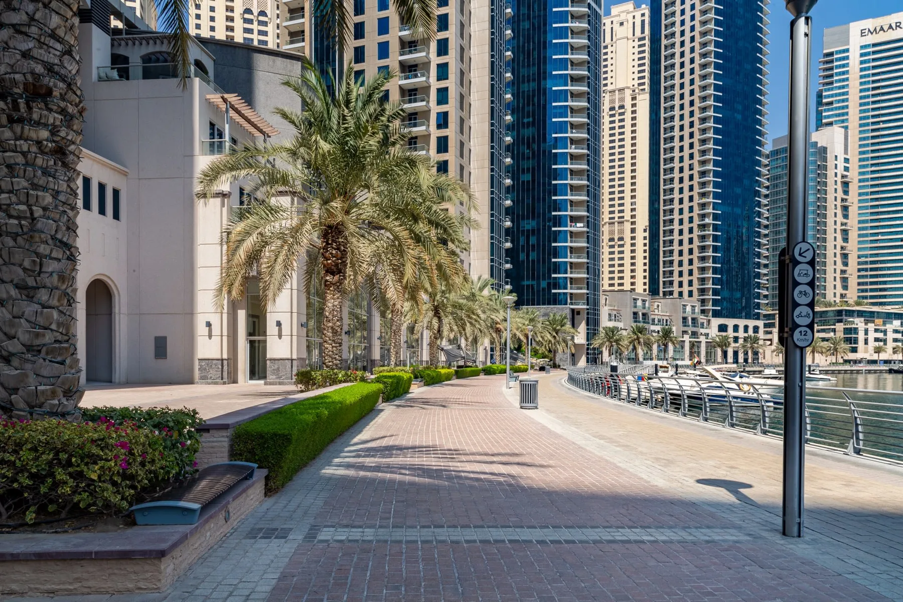A paved waterfront promenade runs beside palm trees and tall city buildings.