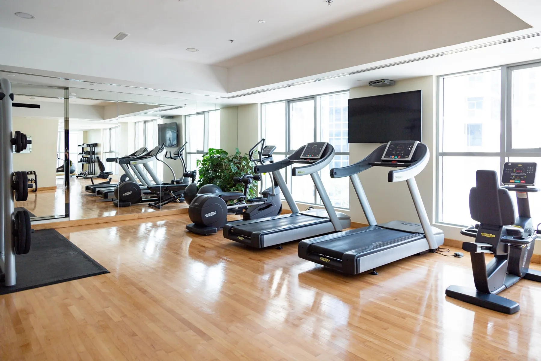 A bright gym with treadmills, exercise bikes, and large windows.