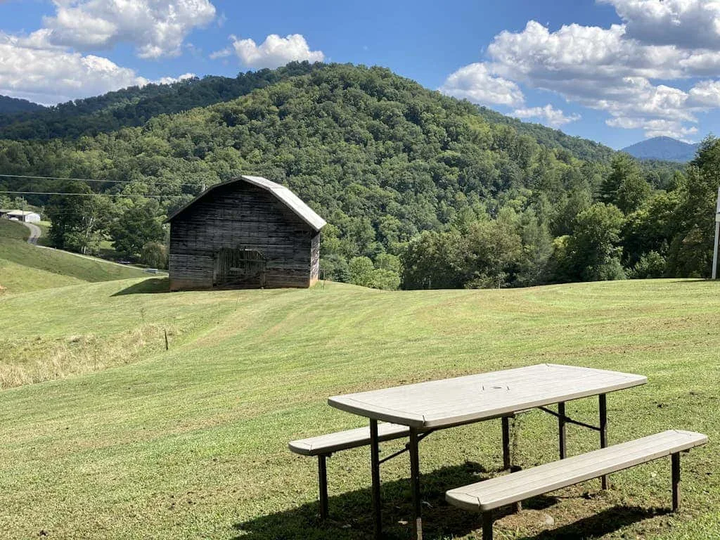Una mesa de picnic está en un campo de hierba, con una colina arbolada al fondo.