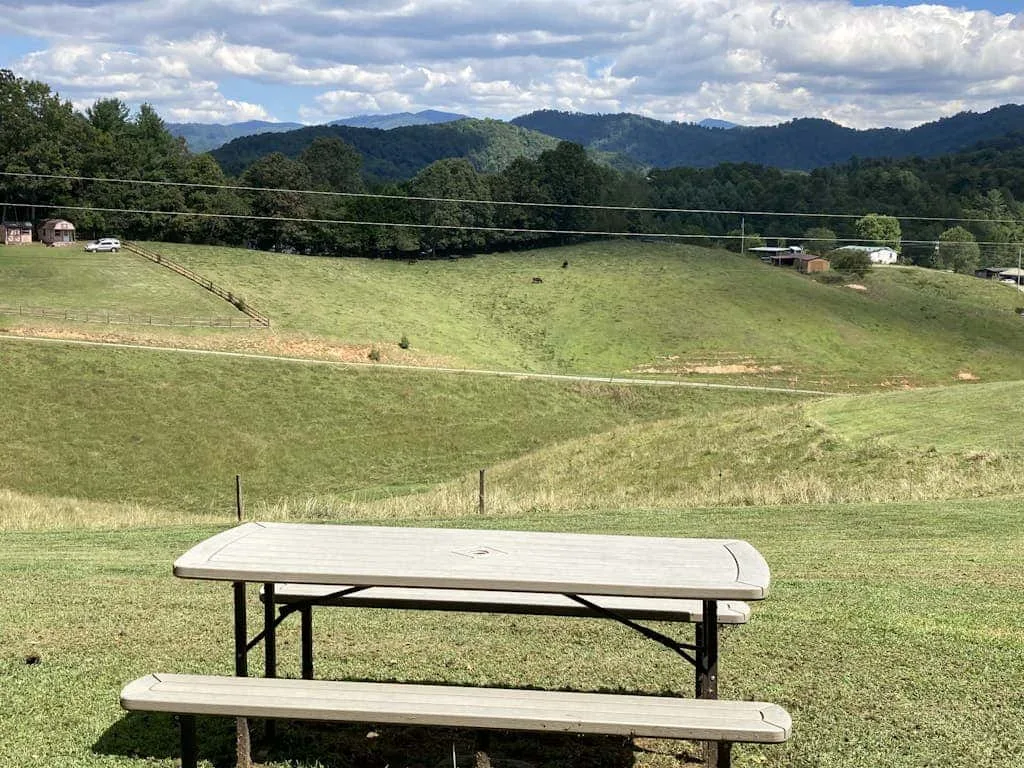 Una mesa de pícnic está en un campo de hierba, con colinas boscosas al fondo.