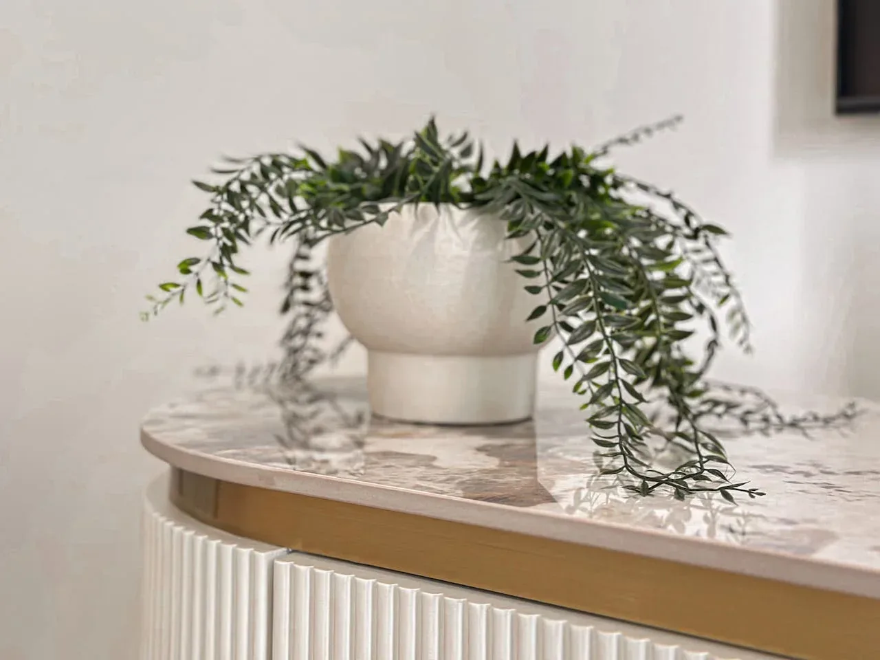 A leafy potted plant sits on a rounded countertop above a radiator.