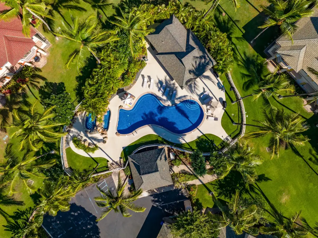 Vista aérea de una piscina rodeada de palmeras y casas.
