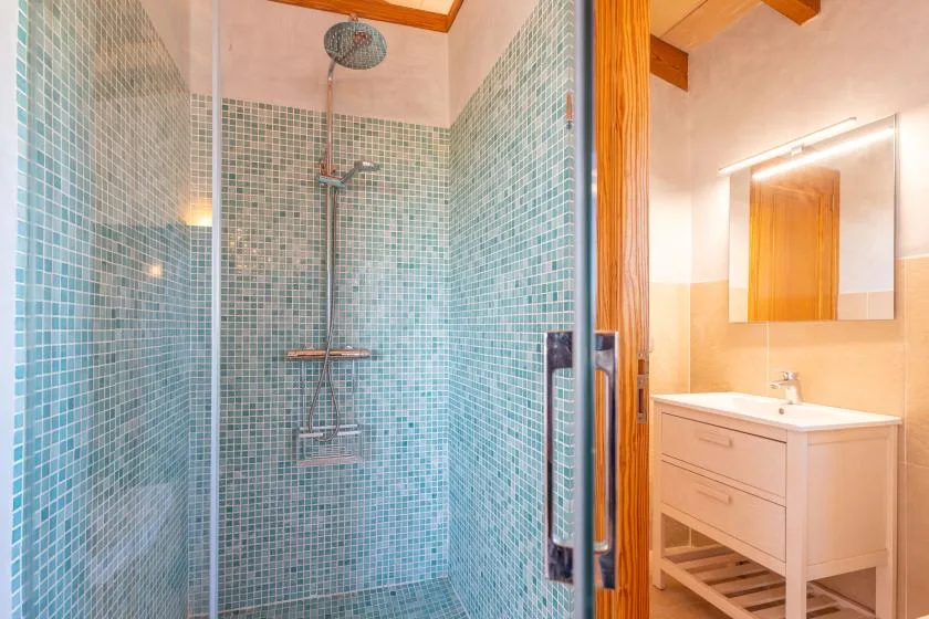 A tiled shower area stands beside a vanity with a sink and mirror.