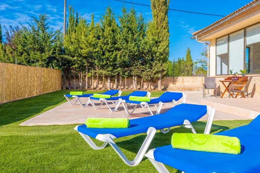 A sunny outdoor poolside seating area has blue loungers on the lawn.