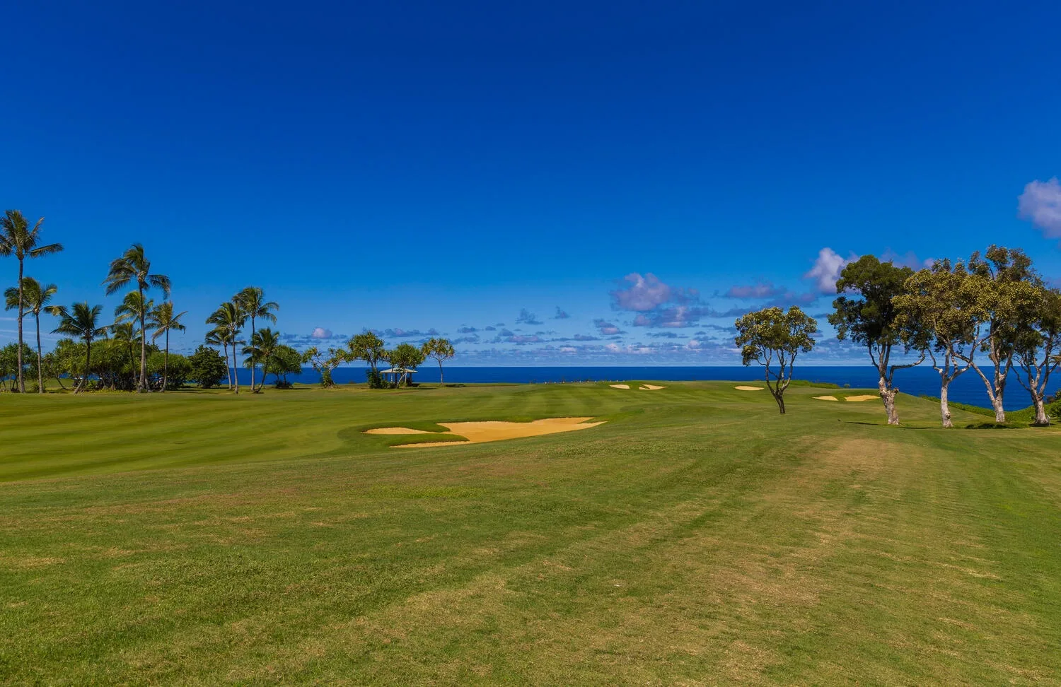 Un campo de golf con césped, un búnker de arena, árboles y el océano al fondo.