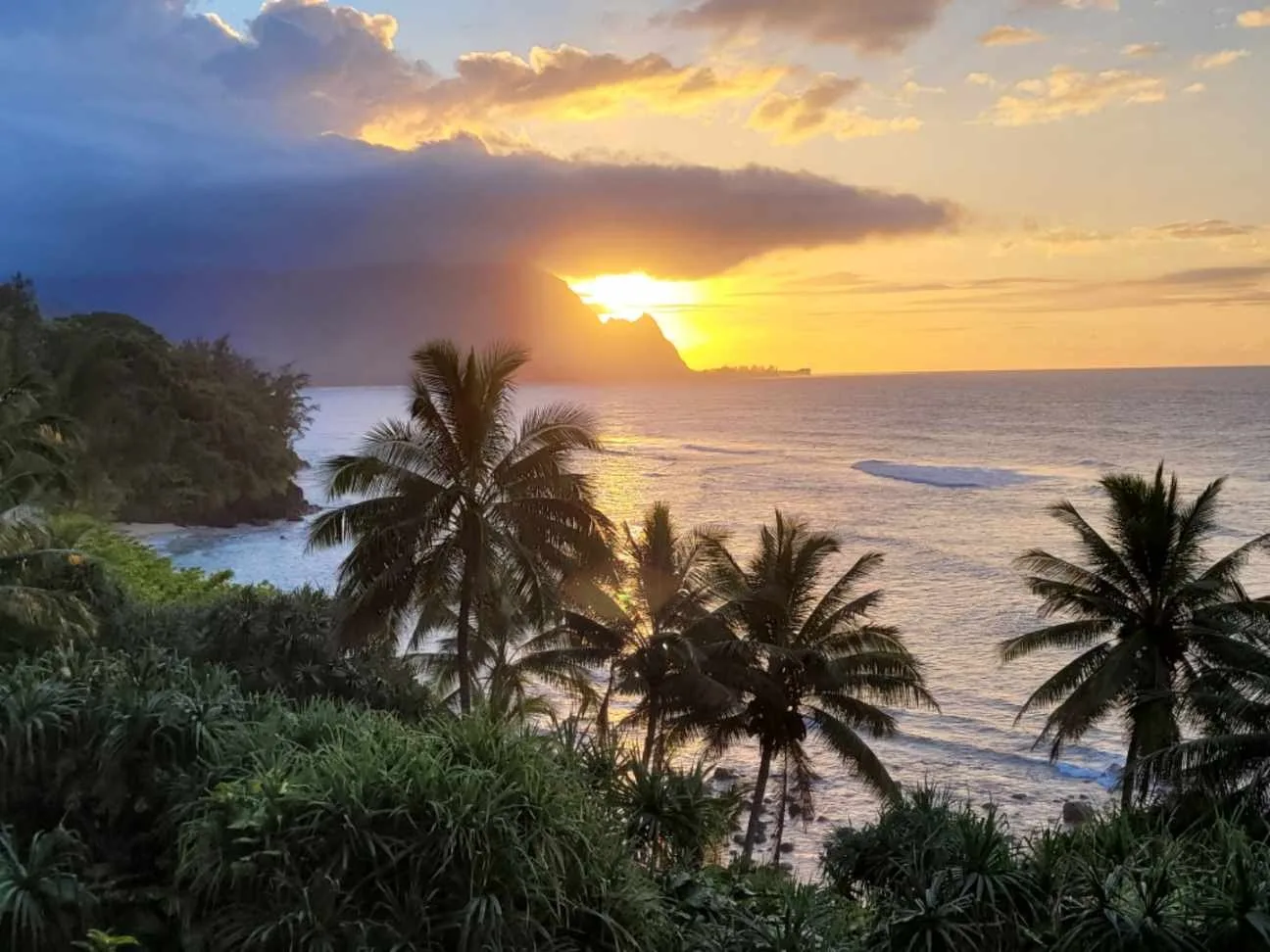 Una costa tropical al atardecer, con palmeras junto a la orilla.