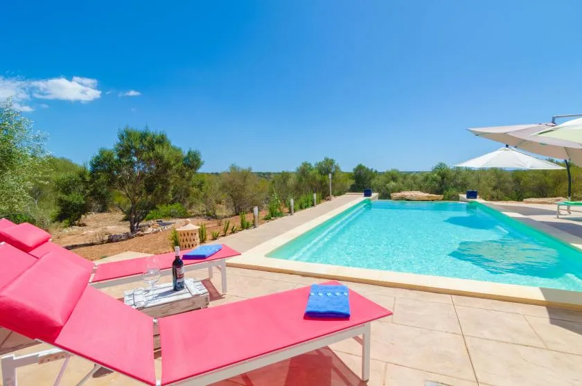 Piscina al aire libre con tumbonas de colores junto a un jardín.