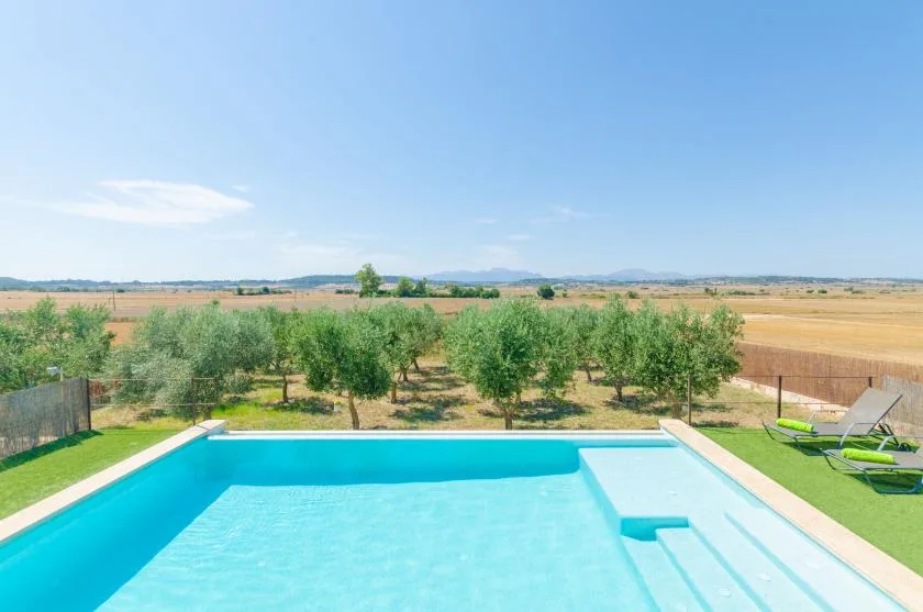 Una piscina al aire libre tiene vistas a hileras de árboles y campos abiertos.