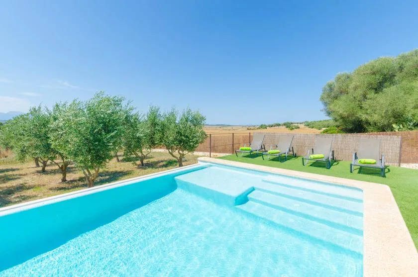 Piscina exterior con escalones amplios, asientos en el césped y árboles al fondo.