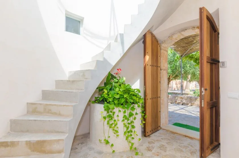 Una entrada luminosa con una escalera blanca, puertas de madera abiertas y una planta frondosa.