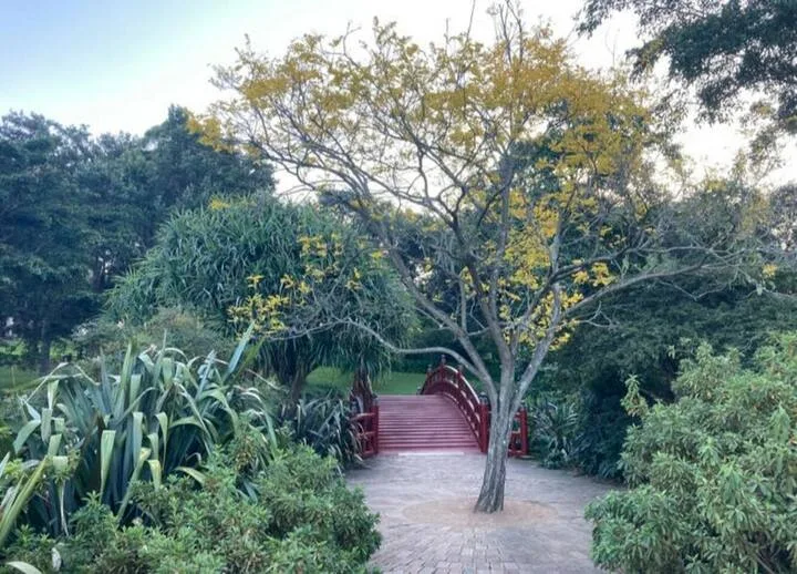 Un sendero de jardín lleva a un puente peatonal rojo de madera bajo árboles frondosos.