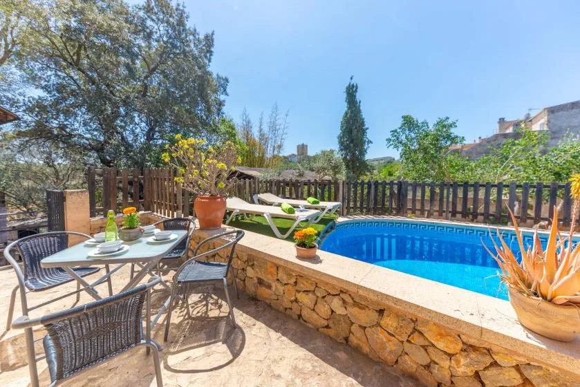 An outdoor patio with a small pool, dining table, and potted plants.