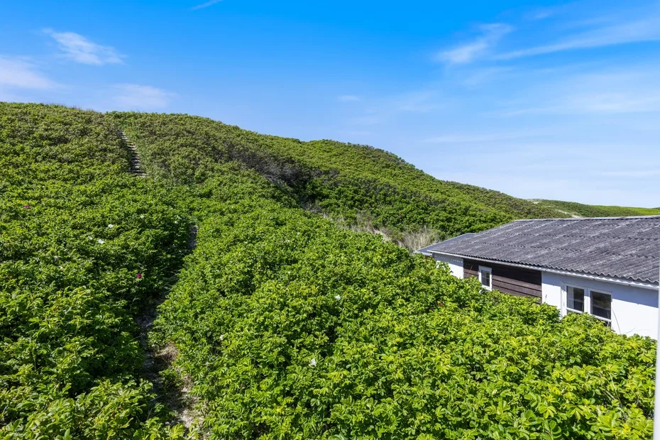 Un edificio blanco se encuentra junto a una ladera verde bajo un cielo azul.
