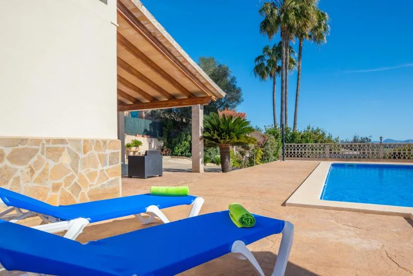 An outdoor pool and sunny patio with blue loungers and palm trees.