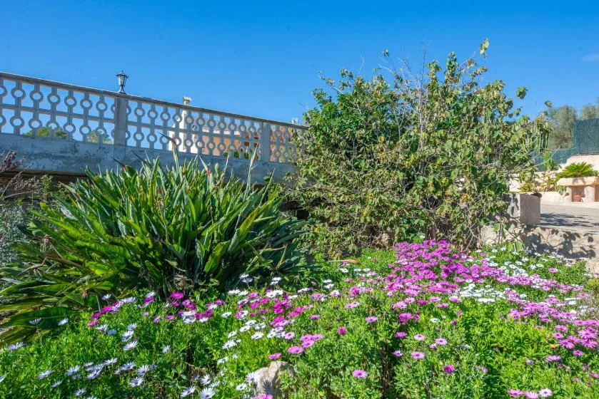 A garden with flowering plants and shrubs beneath a clear blue sky.