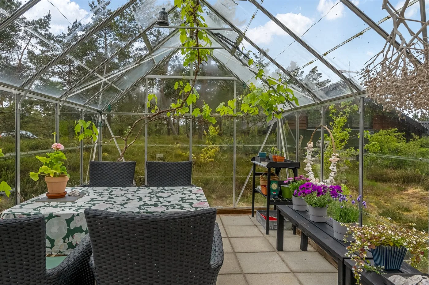 Un invernadero de cristal con una mesa, asientos y plantas en macetas.
