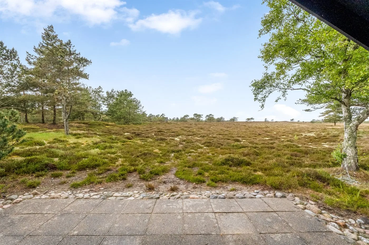 Un paisaje abierto con hierba y árboles dispersos, junto a un patio pavimentado.
