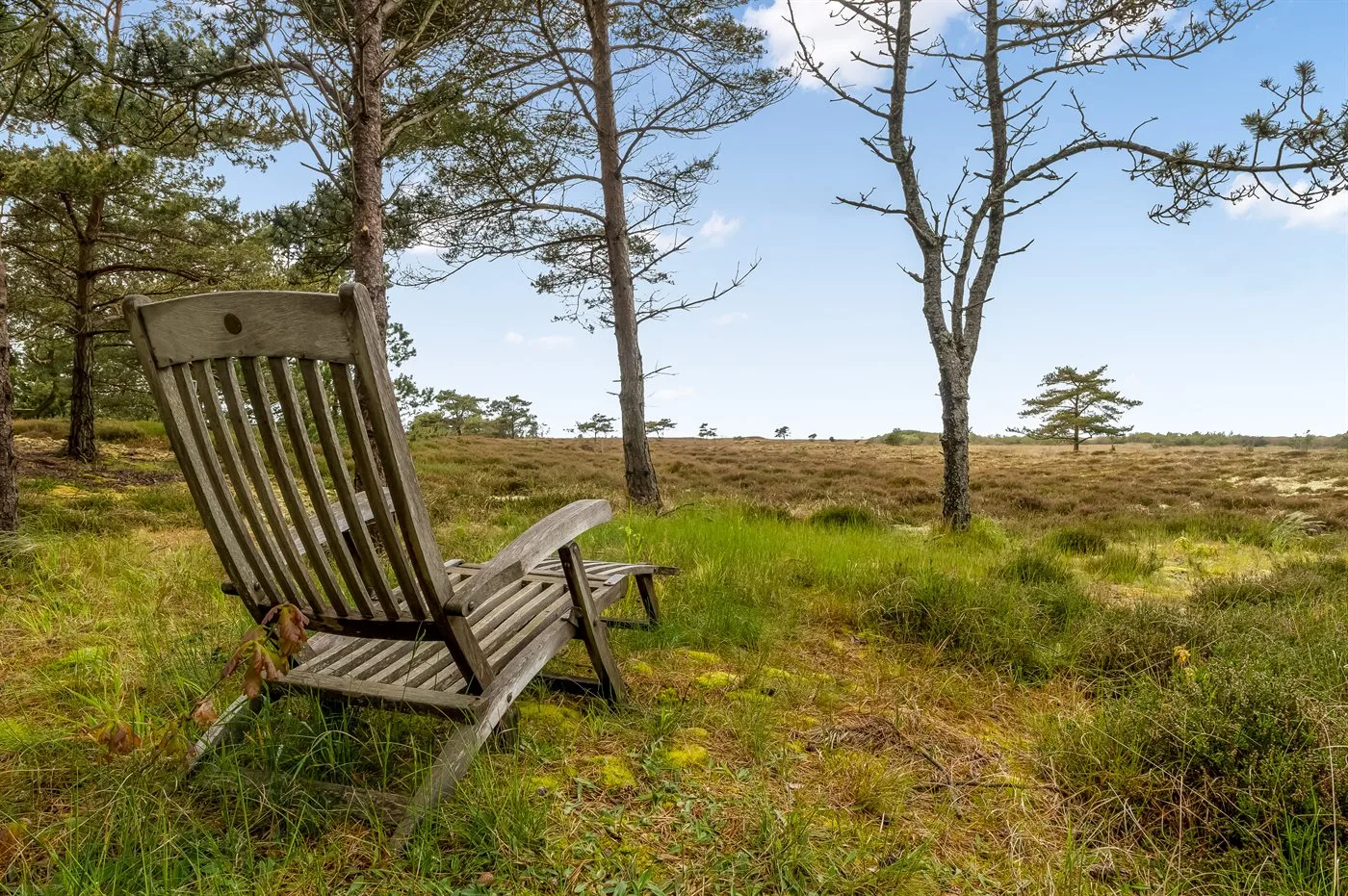 Una silla de madera está en un paisaje abierto y cubierto de hierba, con árboles.