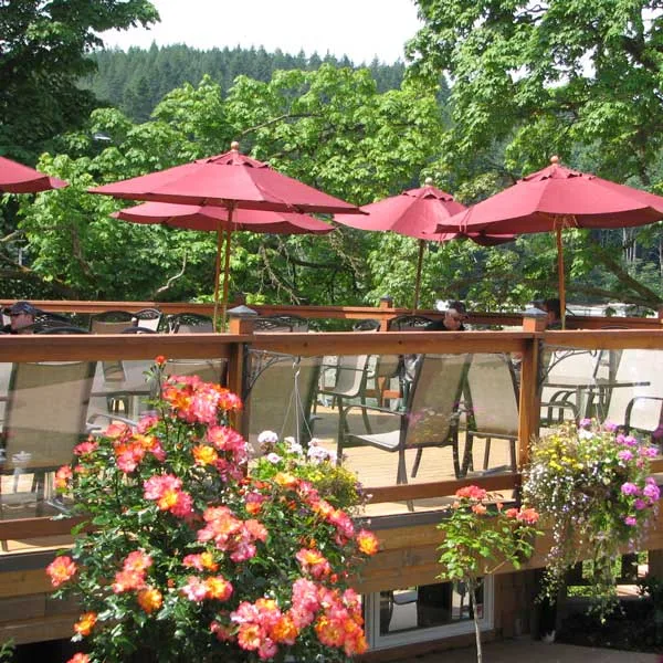 Terraza de Herons