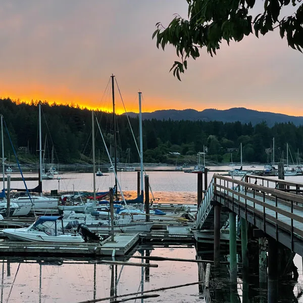 Marina dock