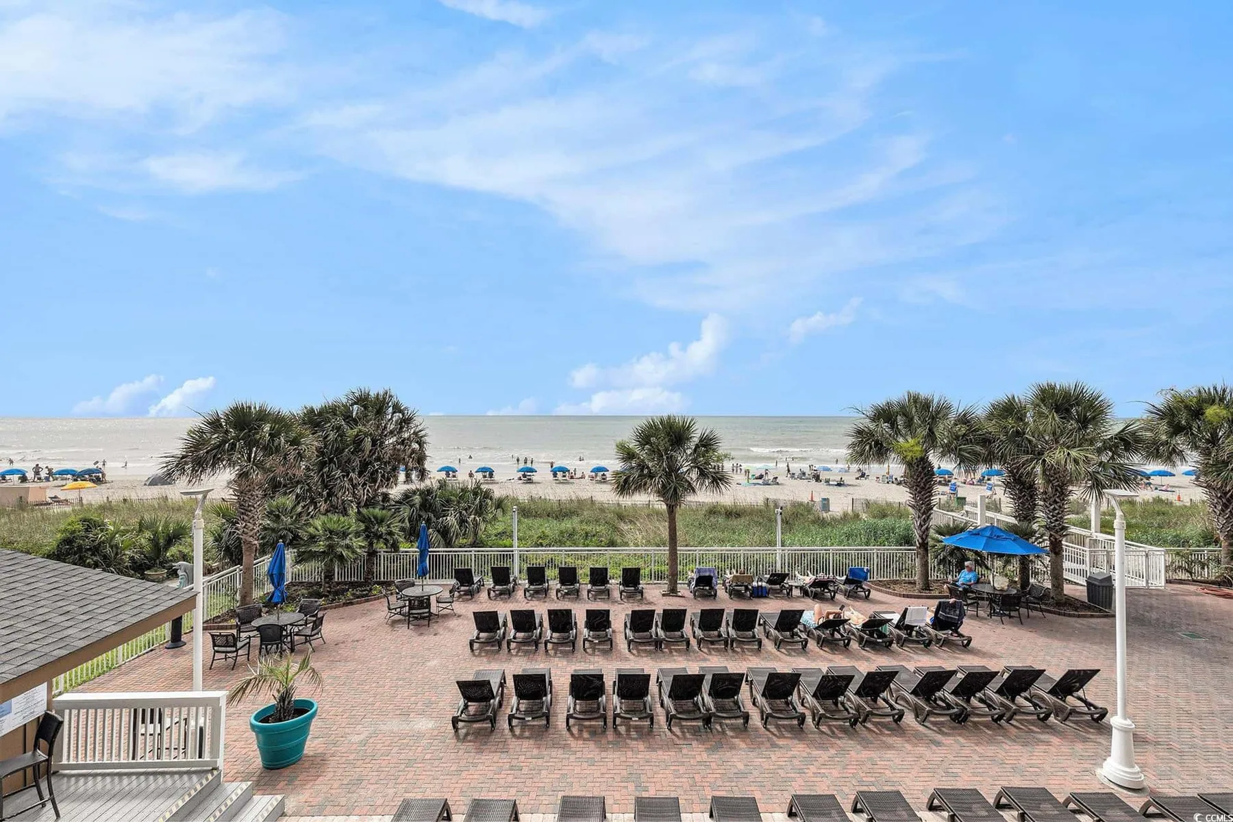 A beachfront patio with rows of lounge seating and palm trees.