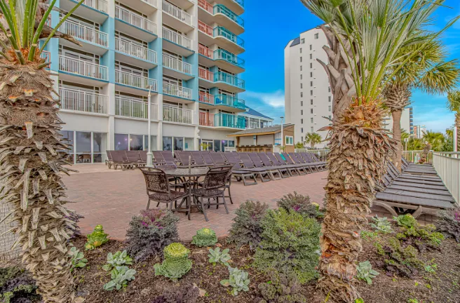 An outdoor poolside patio with lounge chairs, tables, and palm trees beside a high-rise building.