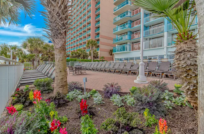 An outdoor pool deck has rows of lounge seating beside landscaped flower beds.