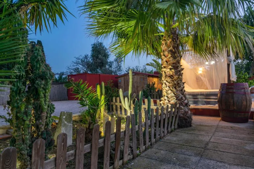 Un patio exterior rodeado de palmeras tiene un pequeño jardín de cactus cercado y una zona de estar iluminada.