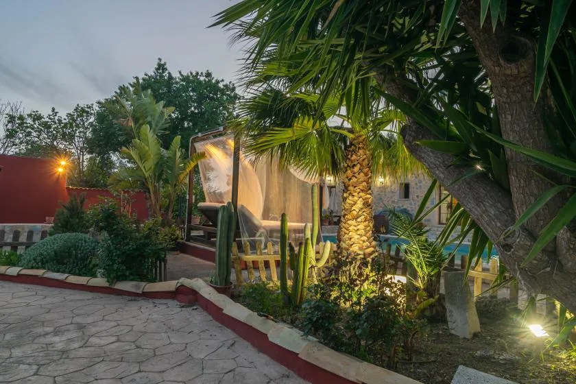 Un patio ajardinado al aire libre tiene palmeras, plantas y un sendero pavimentado.
