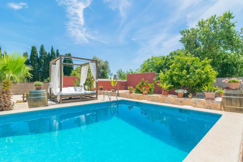 Una piscina al aire libre está rodeada de plantas en macetas y árboles.