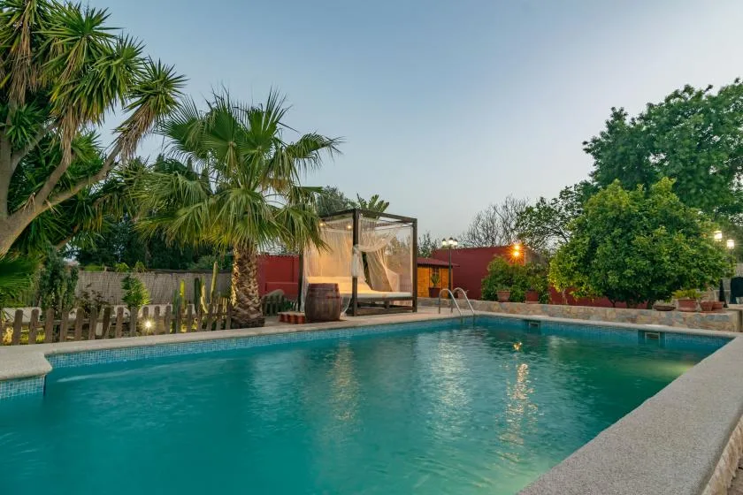 Una piscina al aire libre está rodeada de palmeras y vegetación.