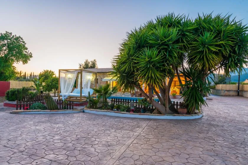 Un patio exterior pavimentado con una piscina y árboles frondosos.