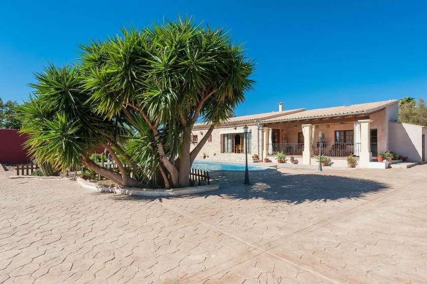 Un patio soleado rodea una piscina junto a una casa baja y árboles frondosos.