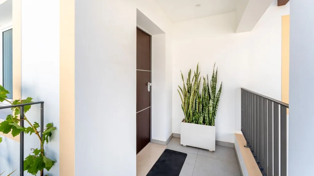 A bright indoor landing with a dark door, potted plant, and railing.
