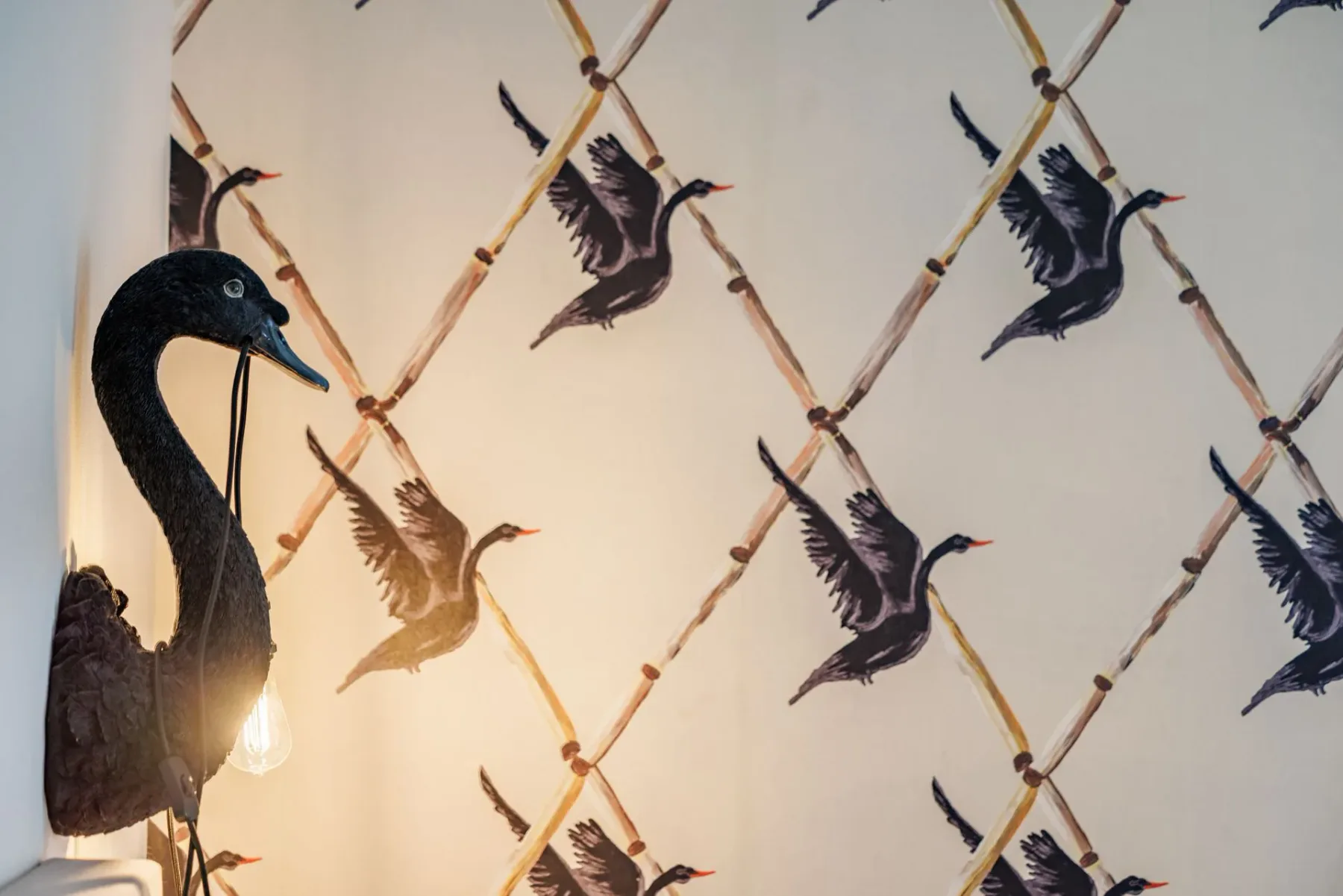 Black swan wall lamp against wallpaper patterned with flying birds.