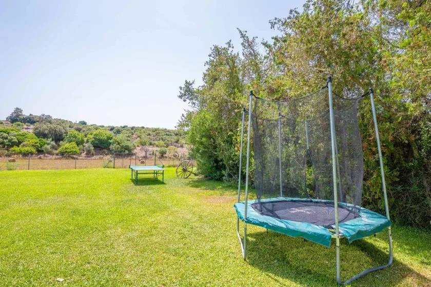 A grassy outdoor yard with a trampoline beside leafy trees.