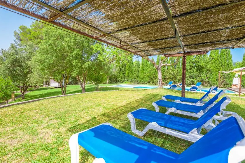 Blue lounge chairs sit beneath a shaded canopy beside a grassy garden.
