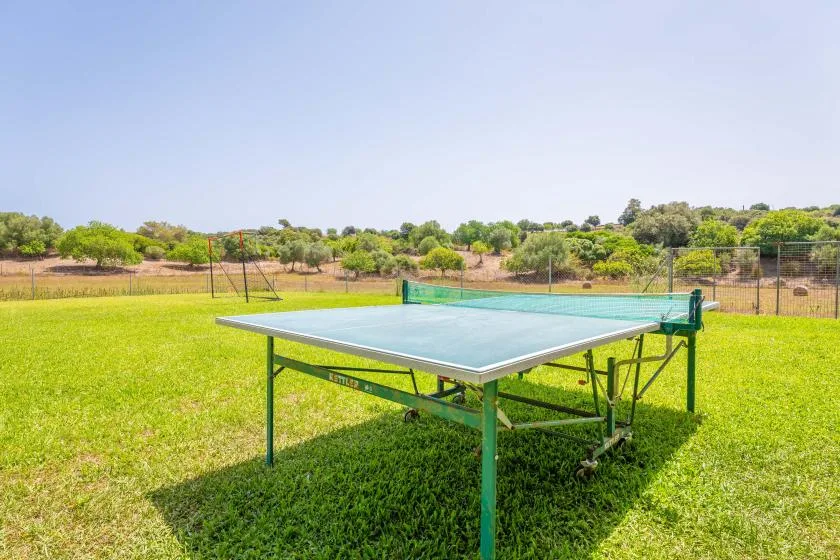 An outdoor table tennis table sits on a grassy field.