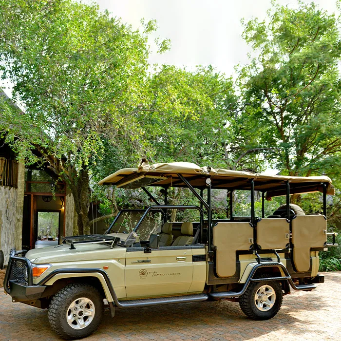 Tambuti Lodge