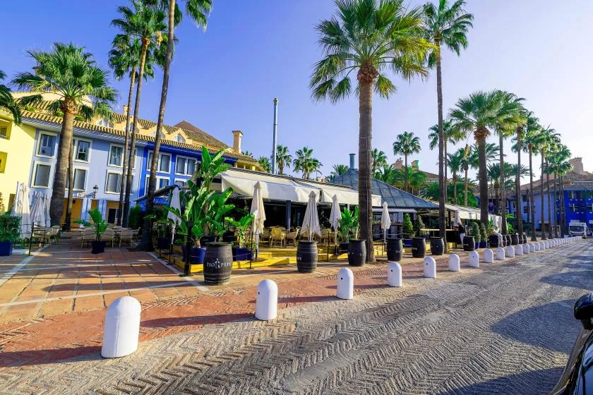 Una terraza de cafetería al aire libre con palmeras junto a un paseo pavimentado.