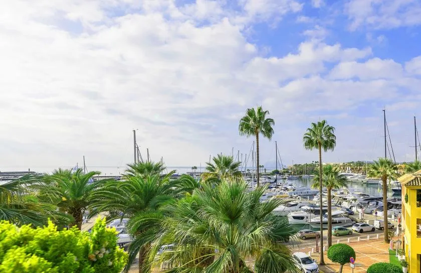 A marina filled with boats is framed by palm trees and green landscaping.