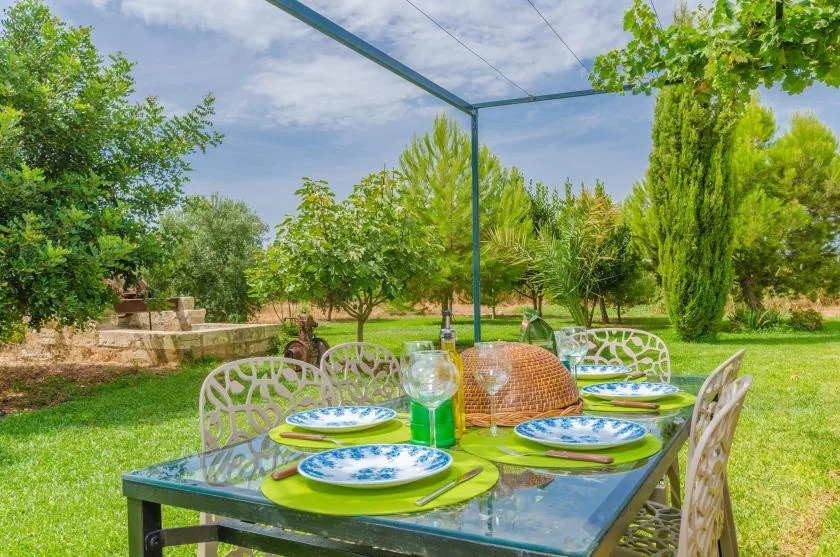 An outdoor dining table is set on a grassy patio beneath a canopy.