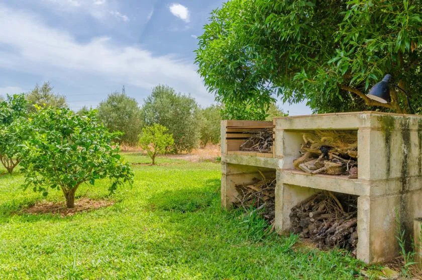 A grassy garden with trees and a concrete wood-storage structure.