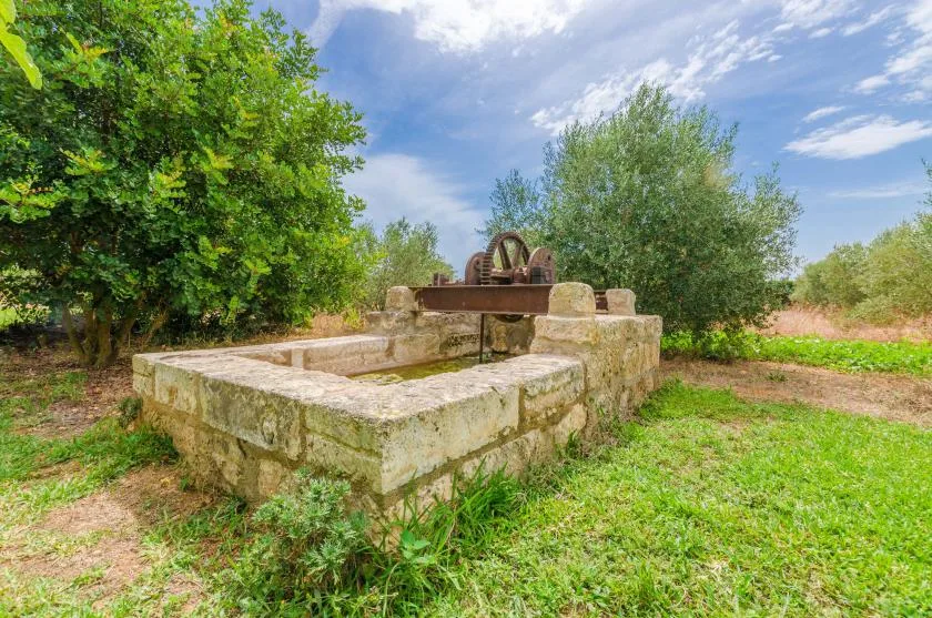 A stone water feature sits in a grassy garden beneath leafy trees.