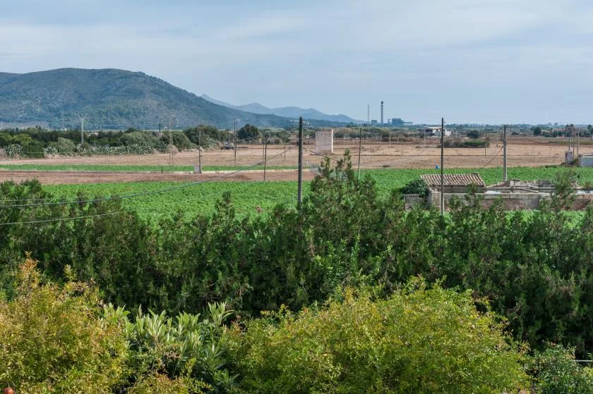 A rural landscape with green fields, vegetation, and mountains in the distance.