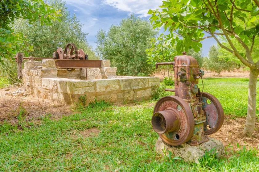 A grassy outdoor scene with old machinery beside a low stone structure and trees.