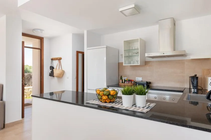 Una cocina luminosa con una encimera larga, un frutero y plantas en macetas.