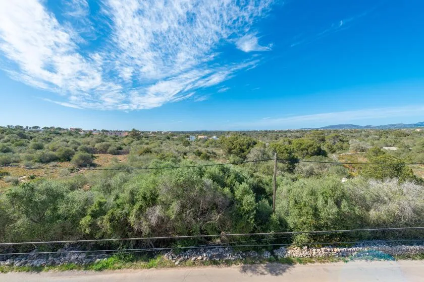 Un extenso paisaje de matorrales se extiende bajo un cielo azul brillante.