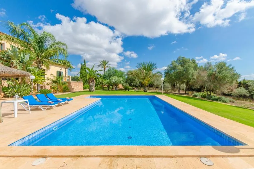 Una piscina junto a un patio soleado, con asientos y palmeras.